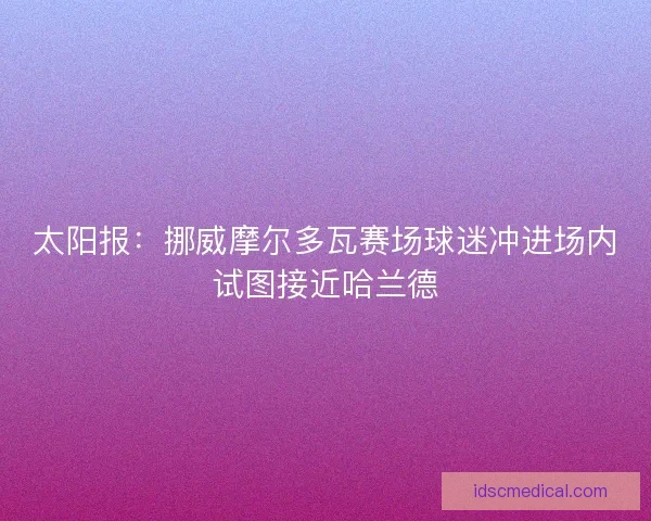 太阳报：挪威摩尔多瓦赛场球迷冲进场内试图接近哈兰德