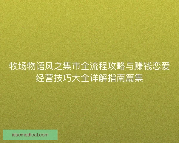 牧场物语风之集市全流程攻略与赚钱恋爱经营技巧大全详解指南篇集