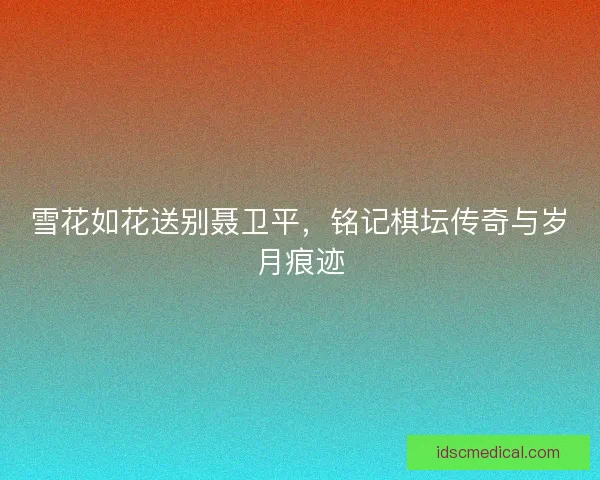 雪花如花送别聂卫平，铭记棋坛传奇与岁月痕迹