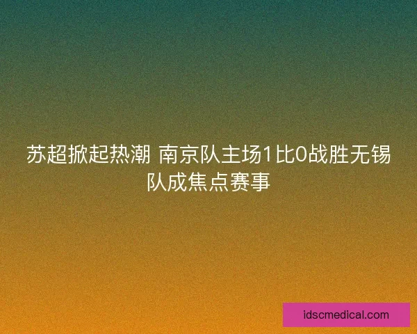 苏超掀起热潮 南京队主场1比0战胜无锡队成焦点赛事